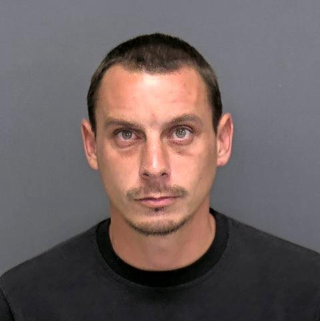 Decatur man faces several felonies after battery charge – WZBD